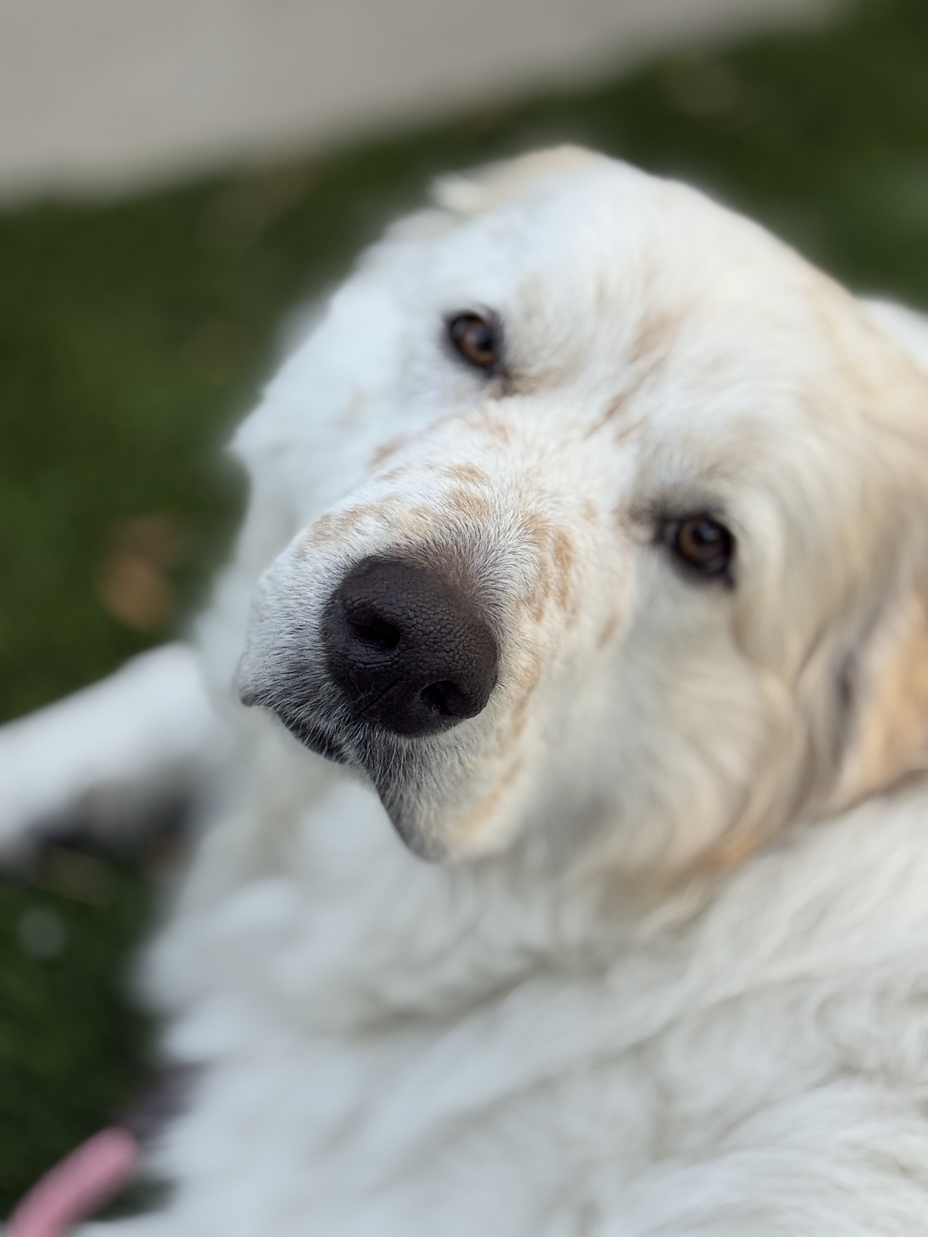 Lizzy the studio assistant